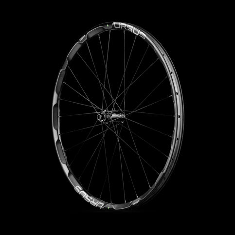 Coppia di ruote URSUS KODIAK (sistema frenante) 6 fori - Bike-store-Treviso
