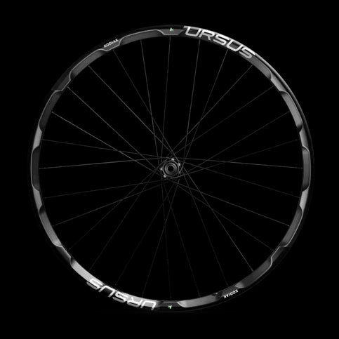 Coppia di ruote URSUS KODIAK (sistema frenante) 6 fori - Bike-store-Treviso