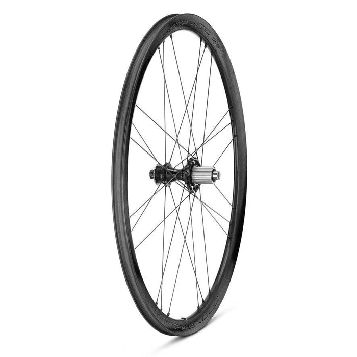 Coppia di ruote CAMPAGNOLO BORA WTO 33 DB