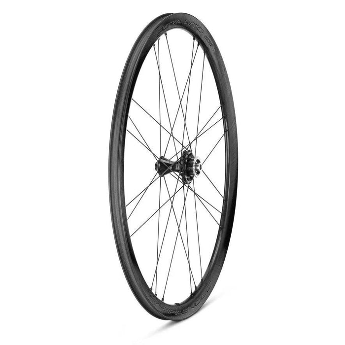 Coppia di ruote CAMPAGNOLO BORA WTO 33 DB