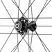 Coppia di ruote CAMPAGNOLO BORA WTO 60 DB - Bike-store-Treviso
